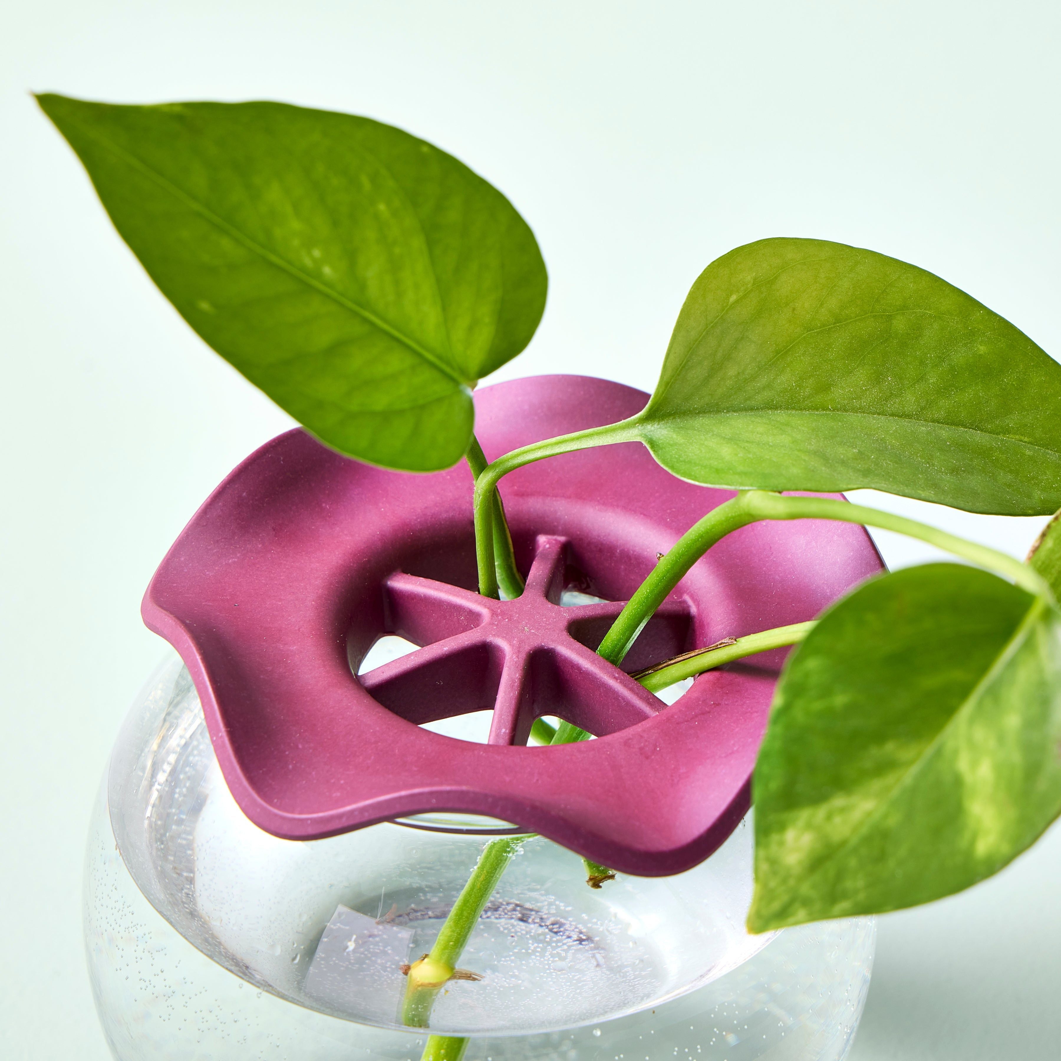 Modern Sprout Botanical Keepers Piatti Talee 2pz