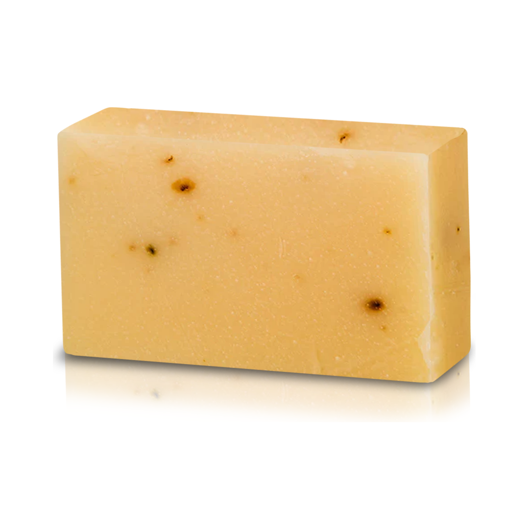 Garner's Garden Mango Papaya Saponetta Corpo 141 g Profumo Mango