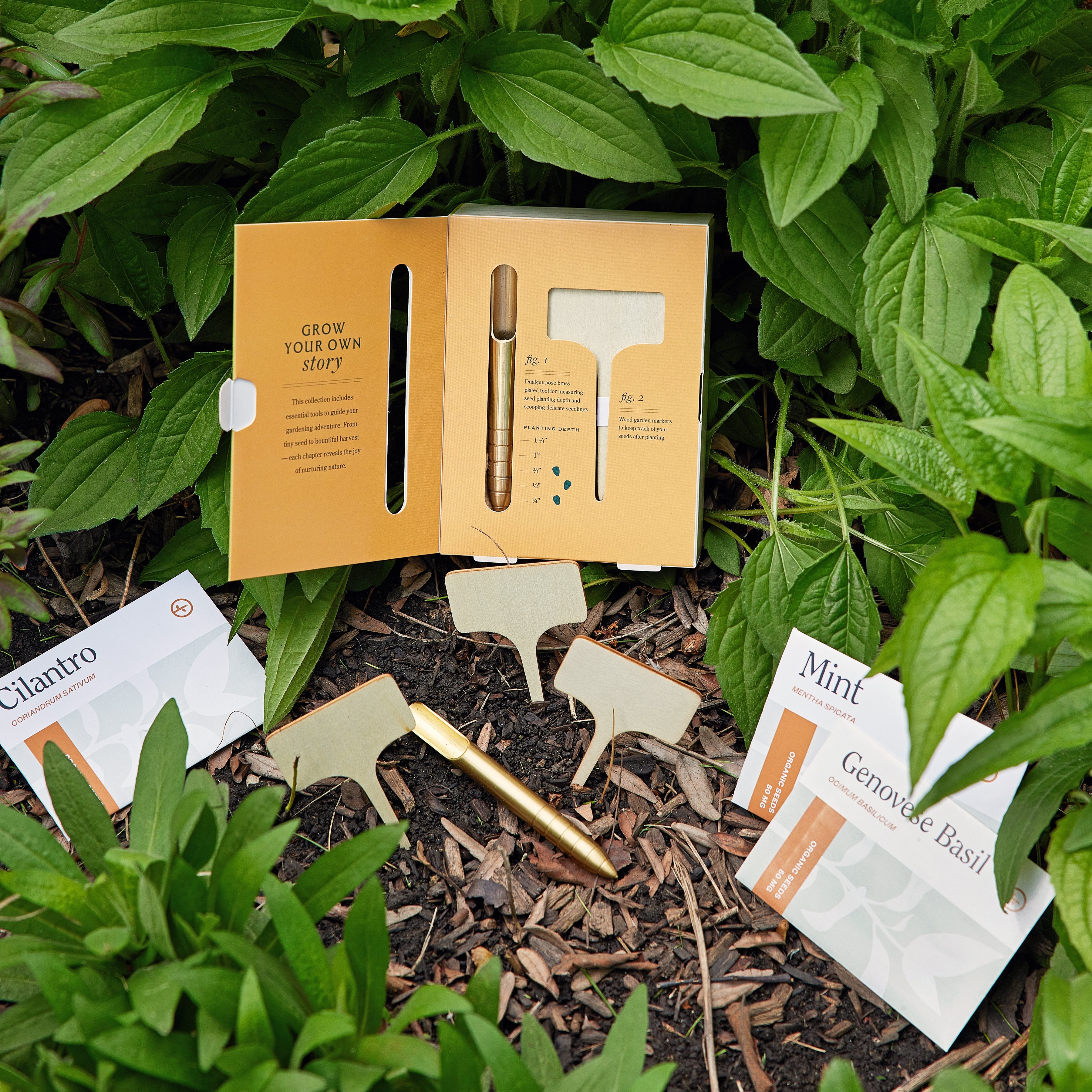 Modern Sprout Seed Library kit semi erbe aromatiche 3 bustine