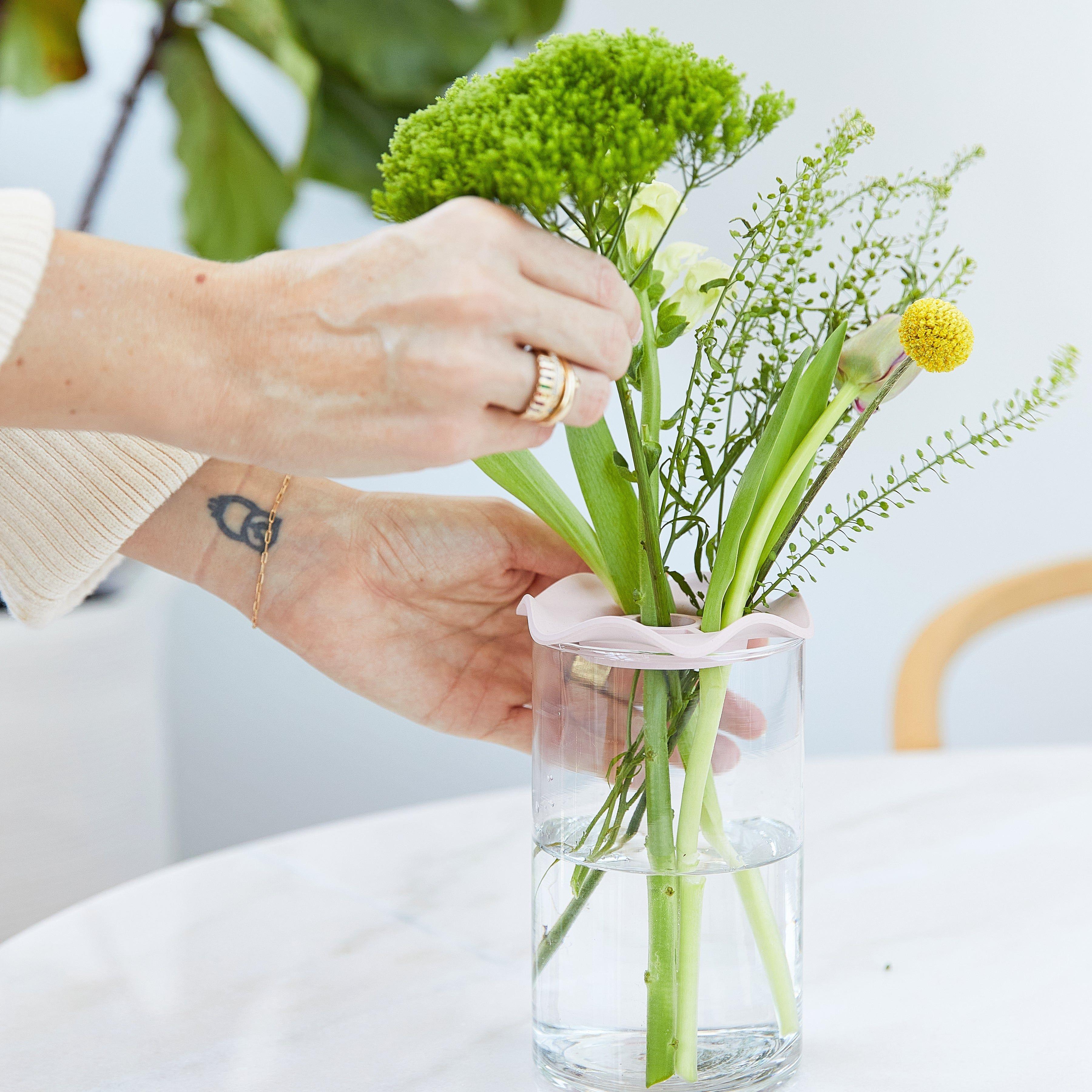 Modern Sprout Botanical Keepers Piatti Talee 2pz
