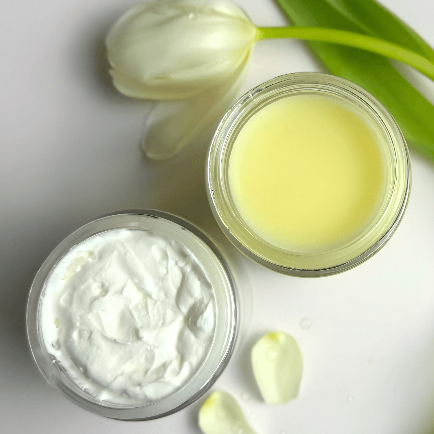 Clara Fritz Duo Creme Viso Giorno Notte 2x113 g sego