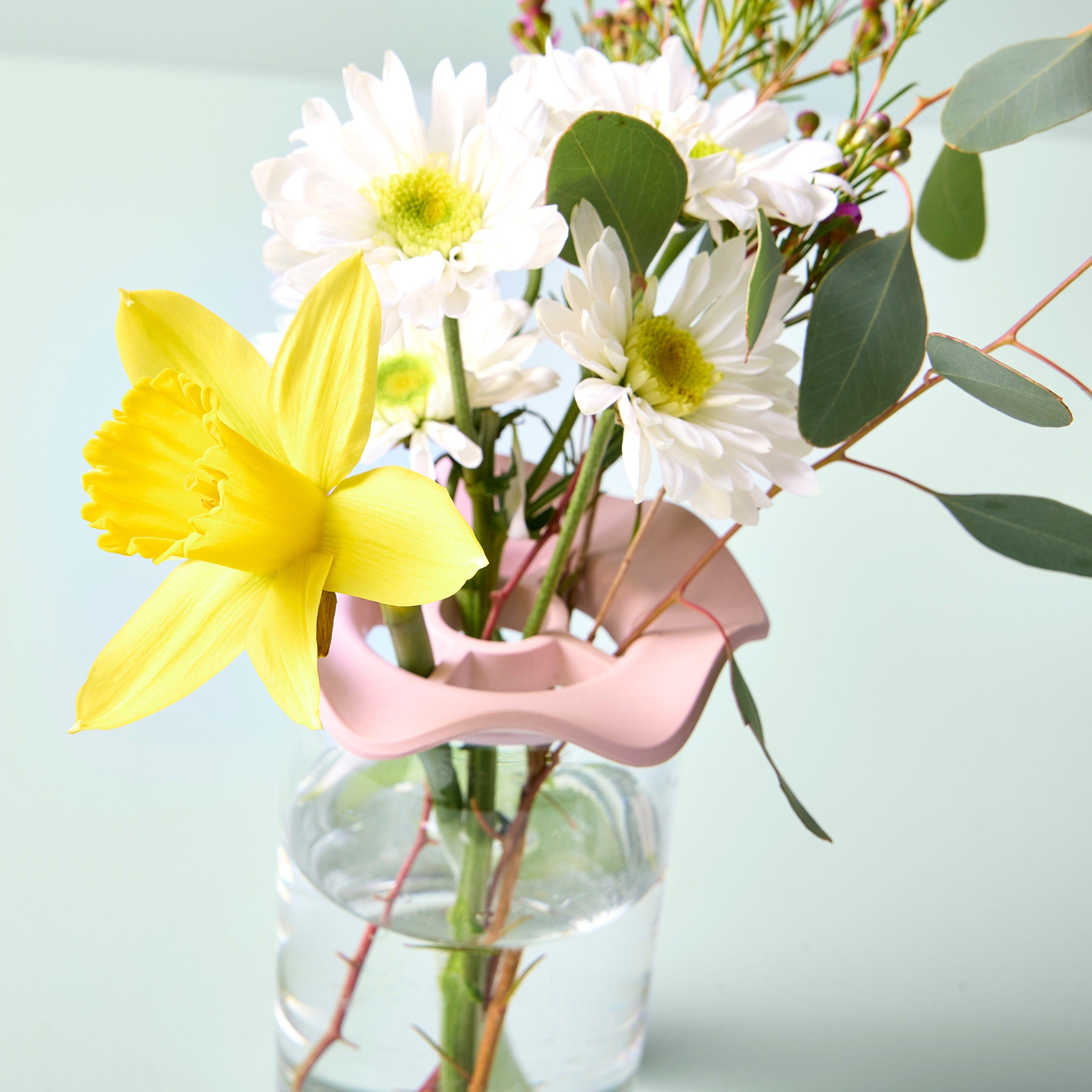Modern Sprout Botanical Keepers Piatti Talee 2pz