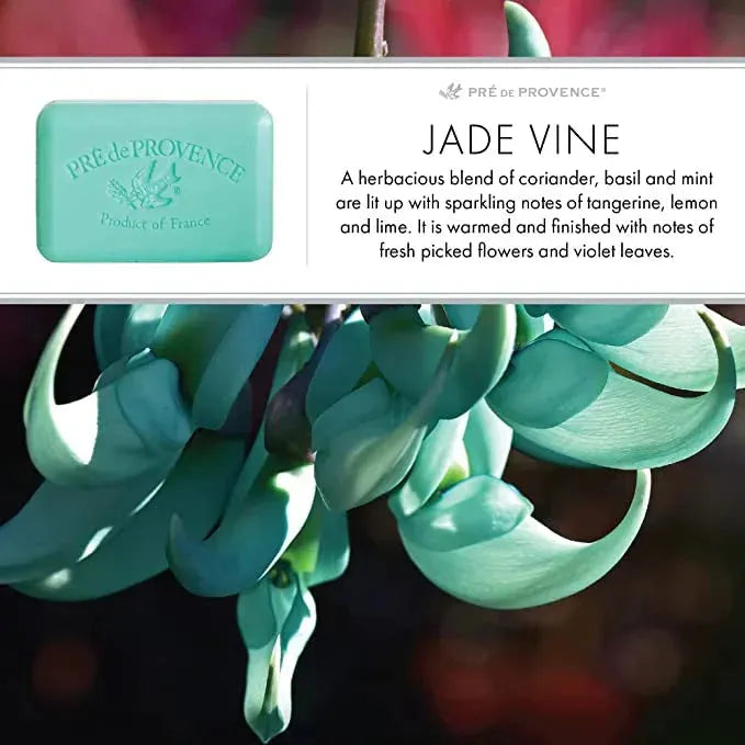 Pré de Provence Jade Vine sapone corpo 150 g burro di karité
