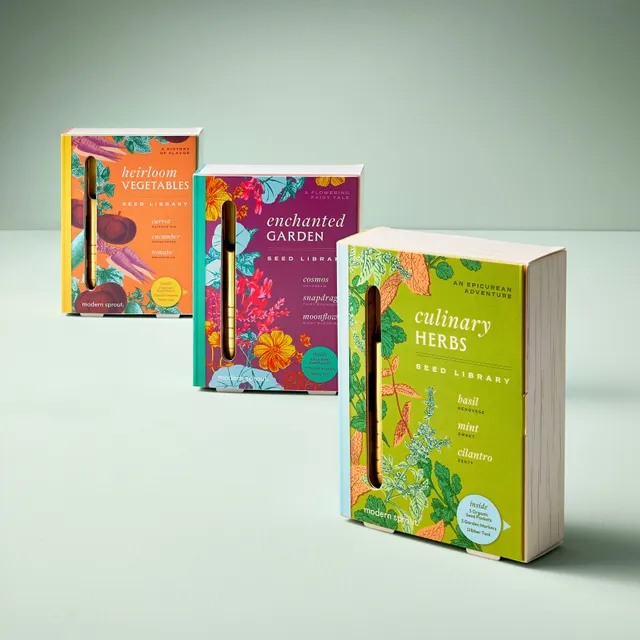 Modern Sprout Seed Library kit semi erbe aromatiche 3 bustine