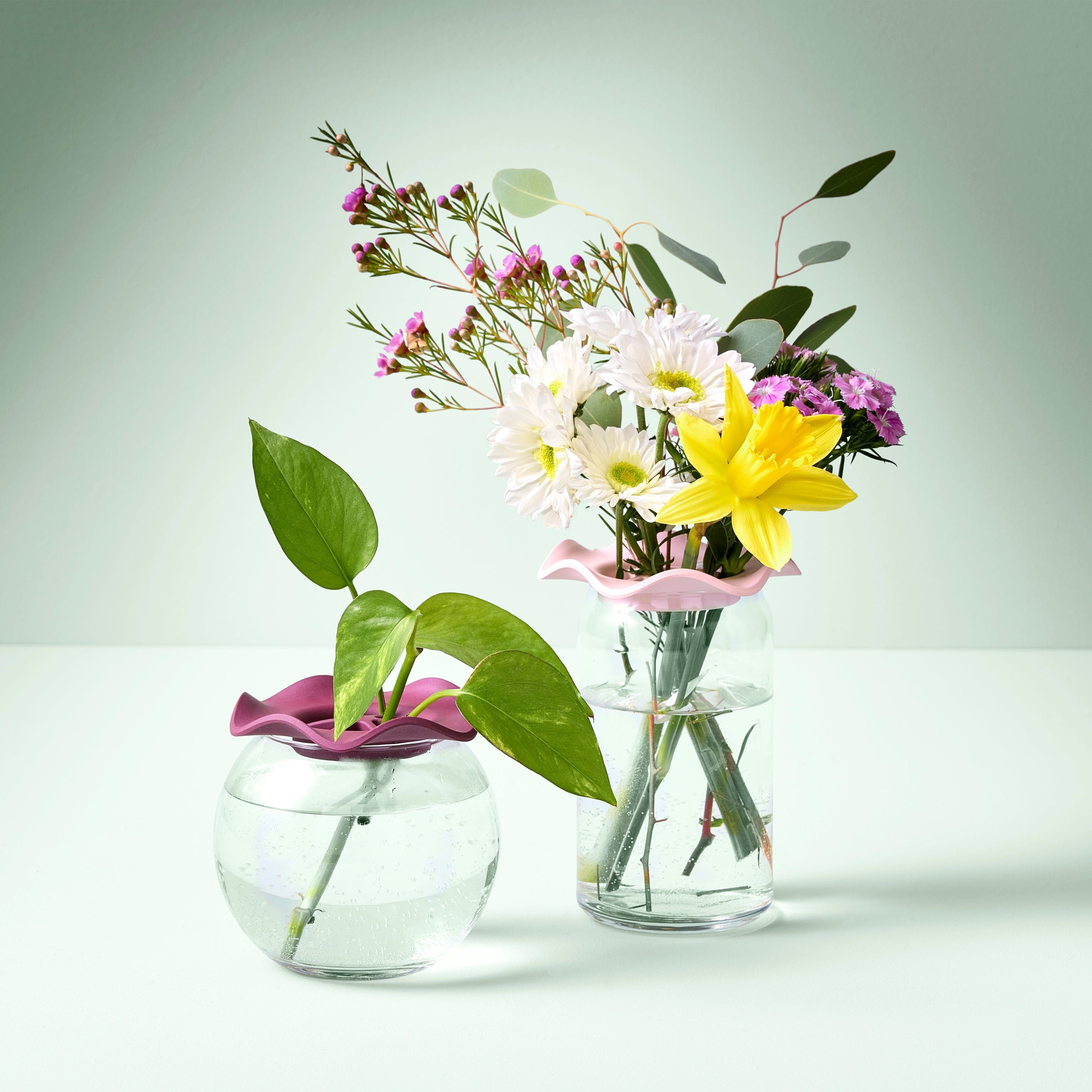 Modern Sprout Botanical Keepers Piatti Talee 2pz