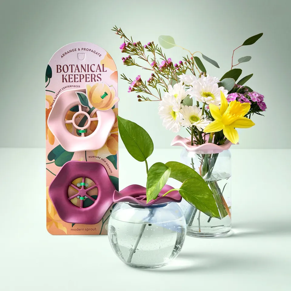 Modern Sprout Botanical Keepers Piatti Talee 2pz