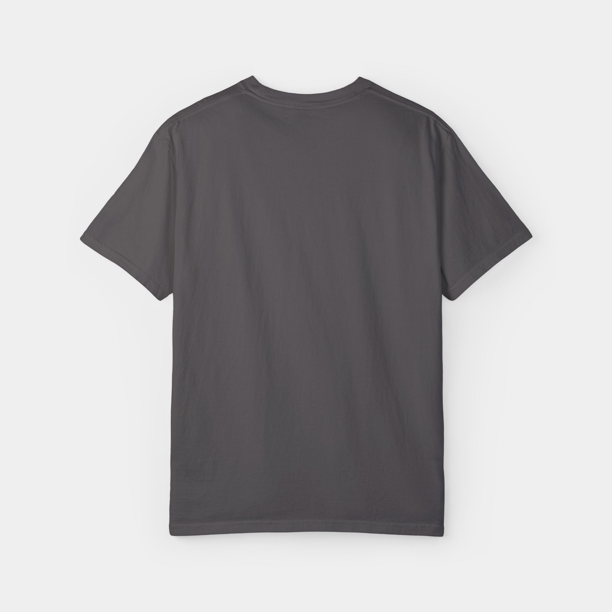 Noble Otter All Hail the Otter t-shirt cotone grafite L