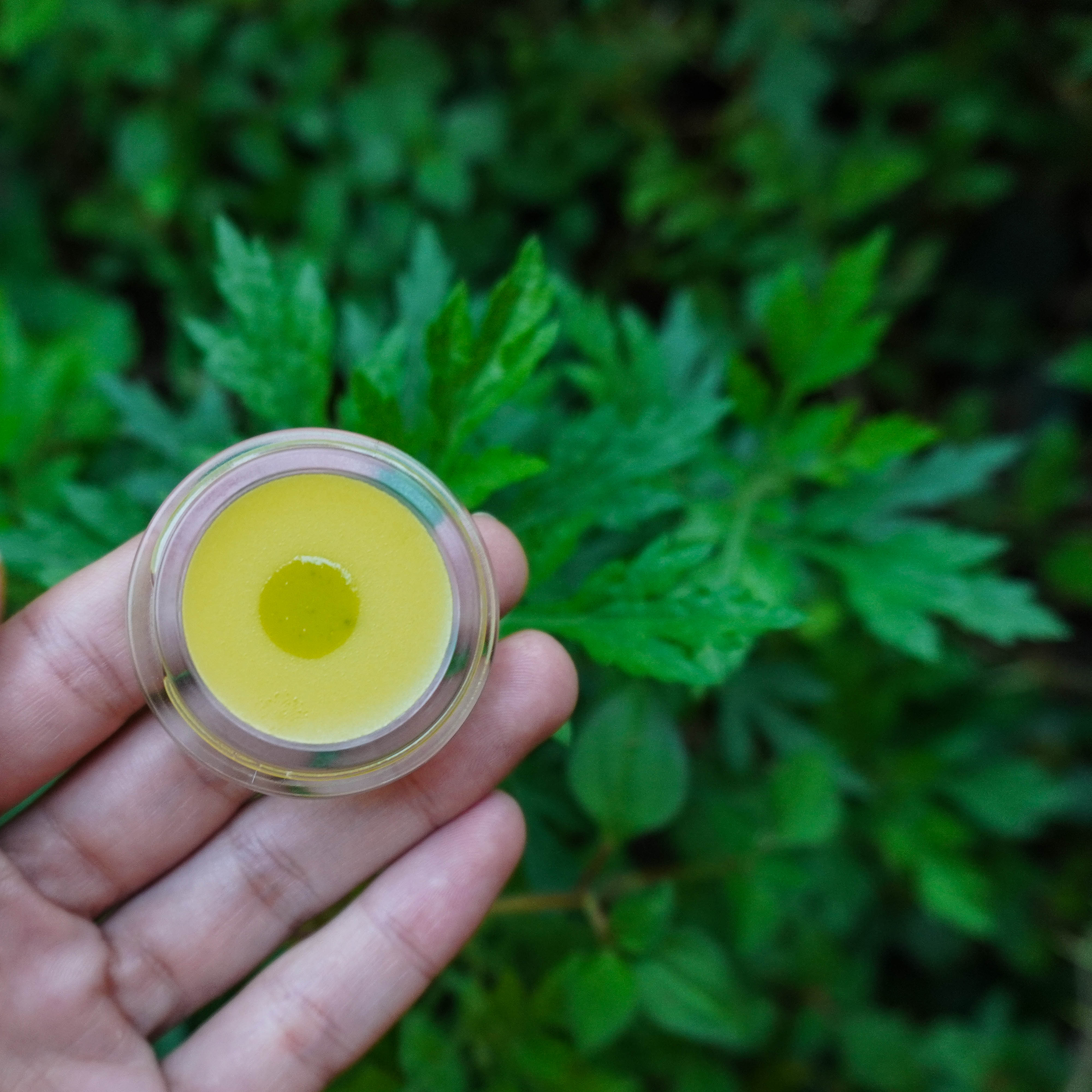Pasteur Lucid Dream Balm balsamo sogni artemisia e sandalo