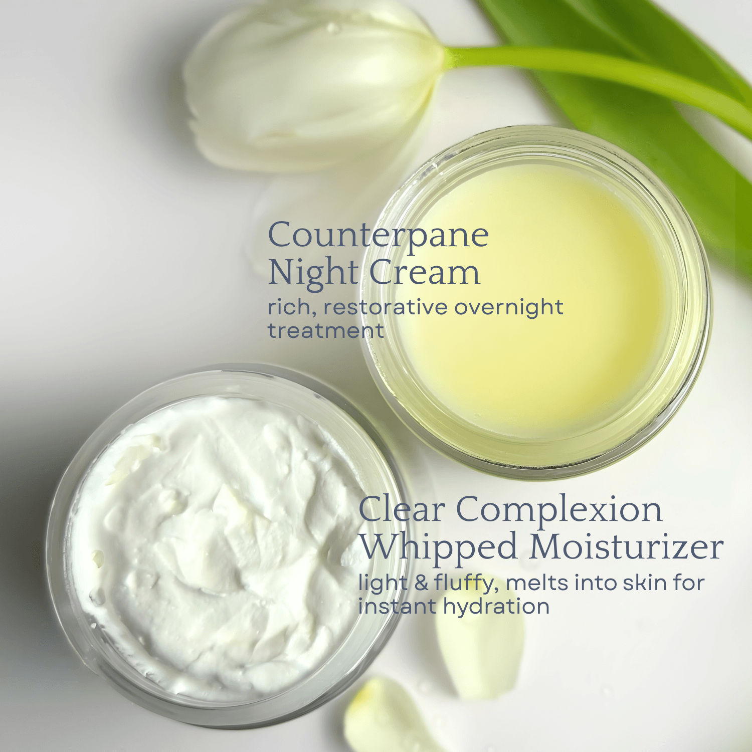 Clara Fritz Duo Creme Viso Giorno Notte 2x113 g sego