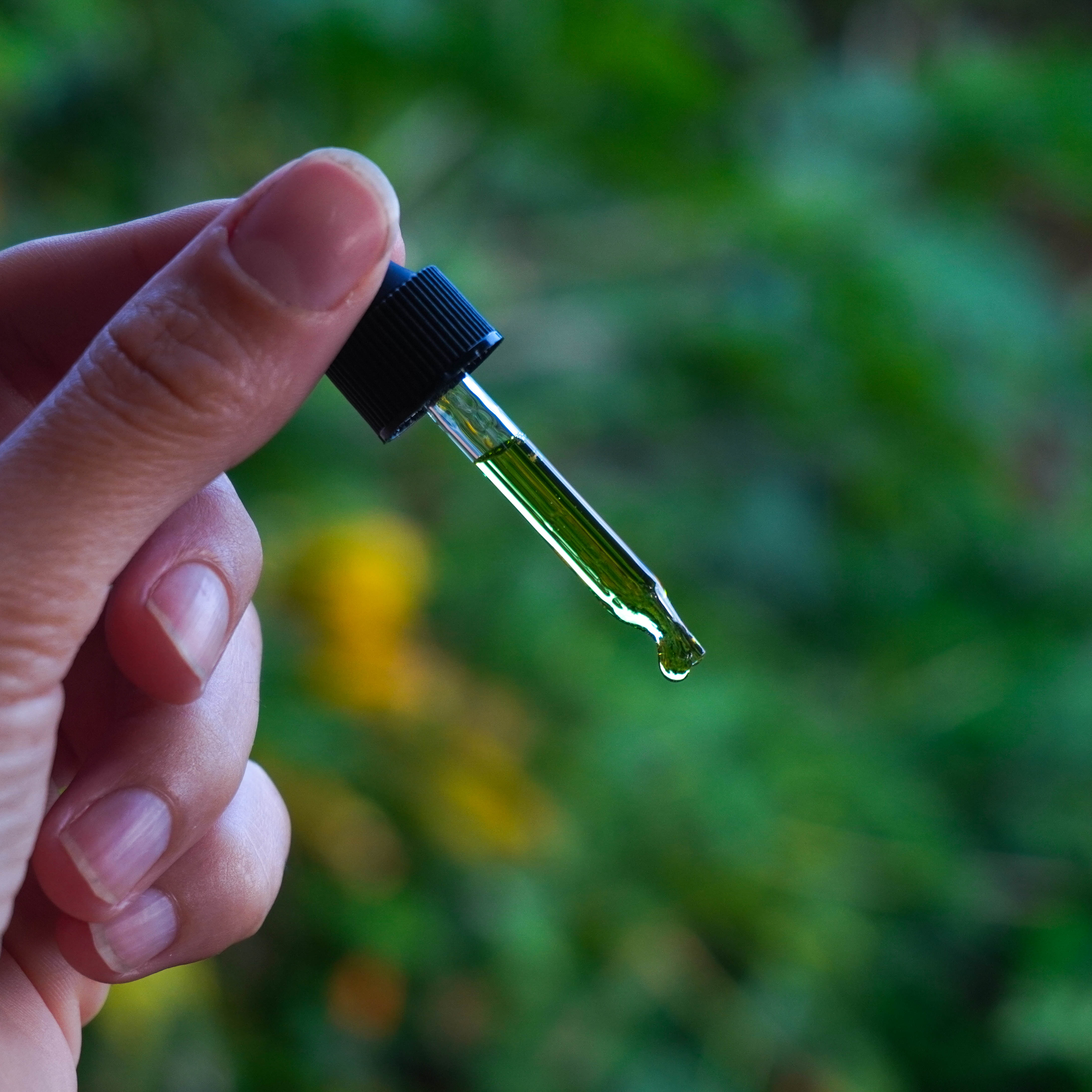 Pasteur Lucid Dream Balm balsamo sogni artemisia e sandalo