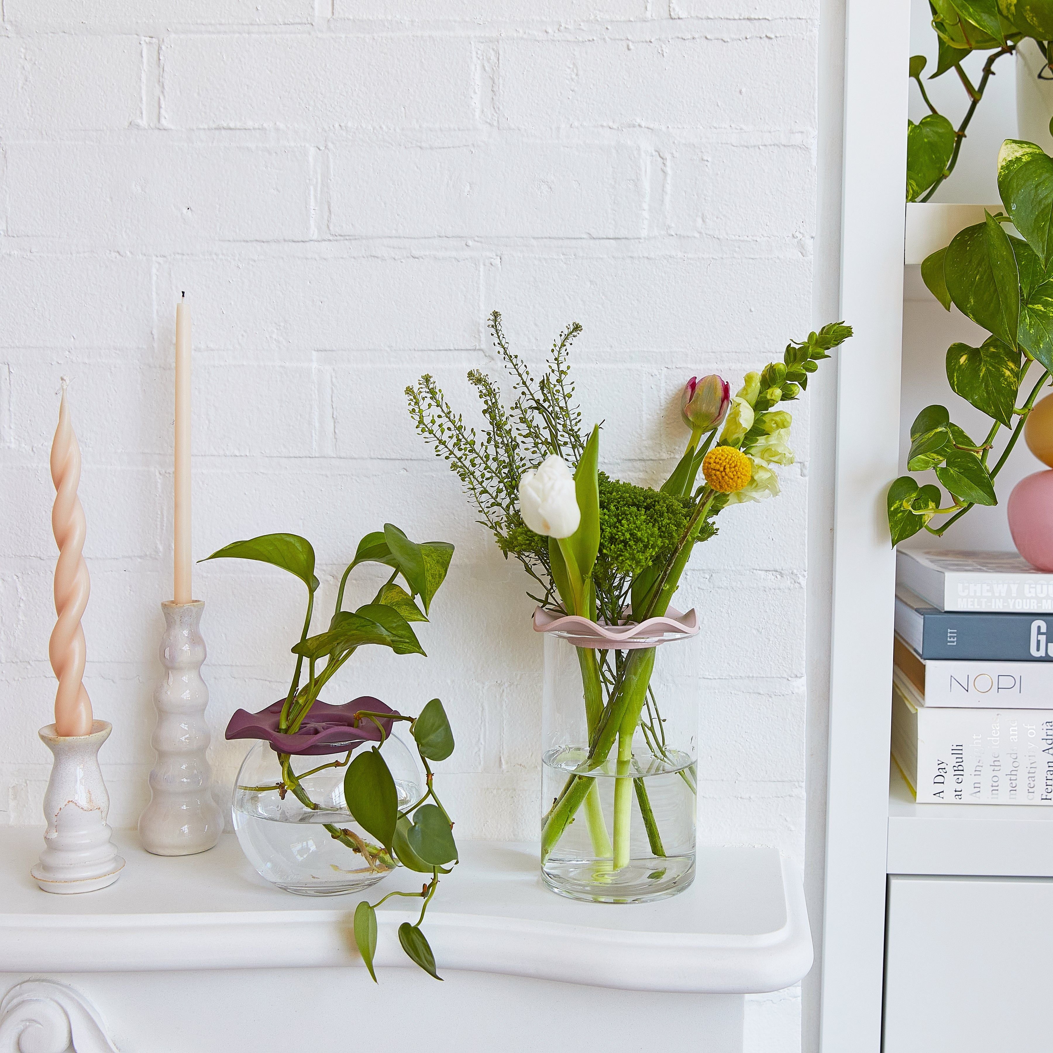 Modern Sprout Botanical Keepers Piatti Talee 2pz