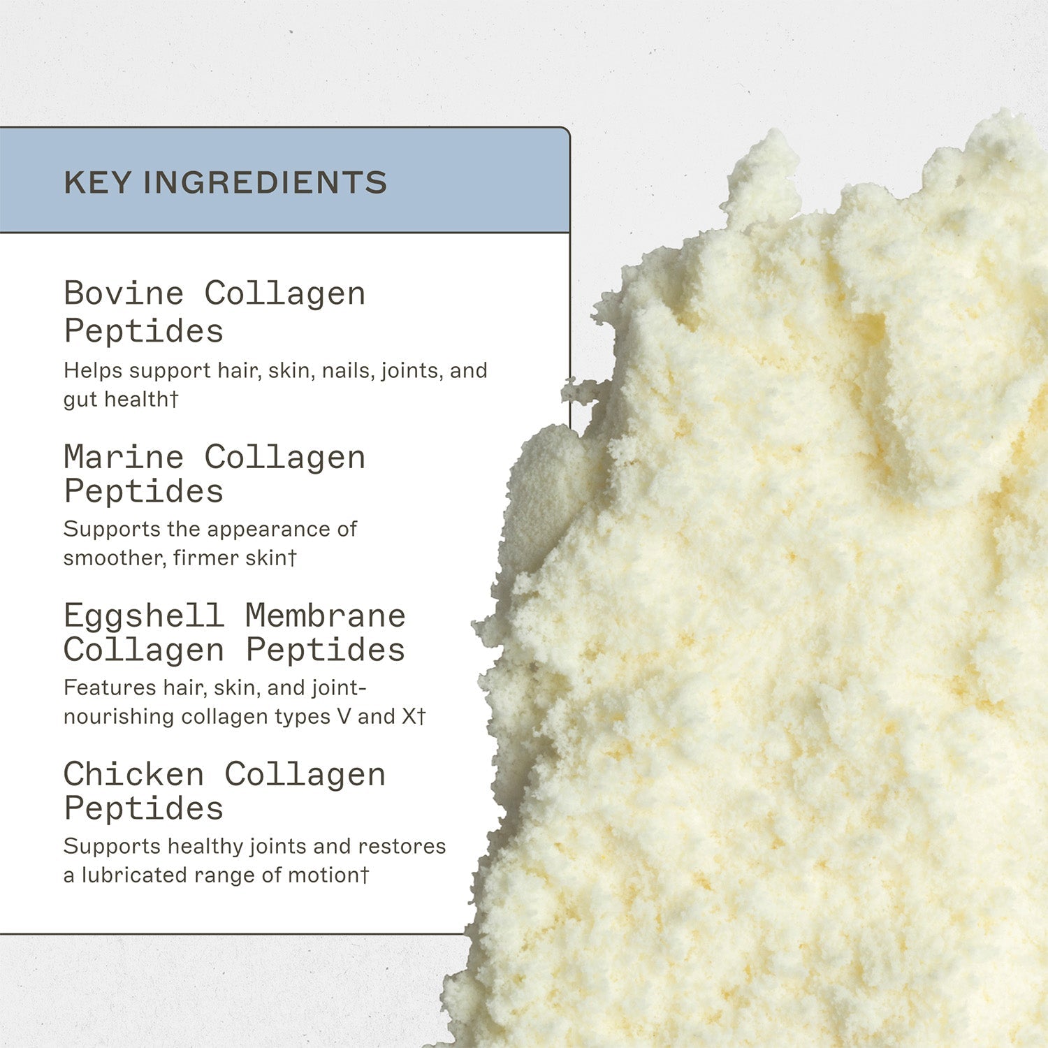 Spectrum 5 Collagen peptidi collagene marino pelle capelli