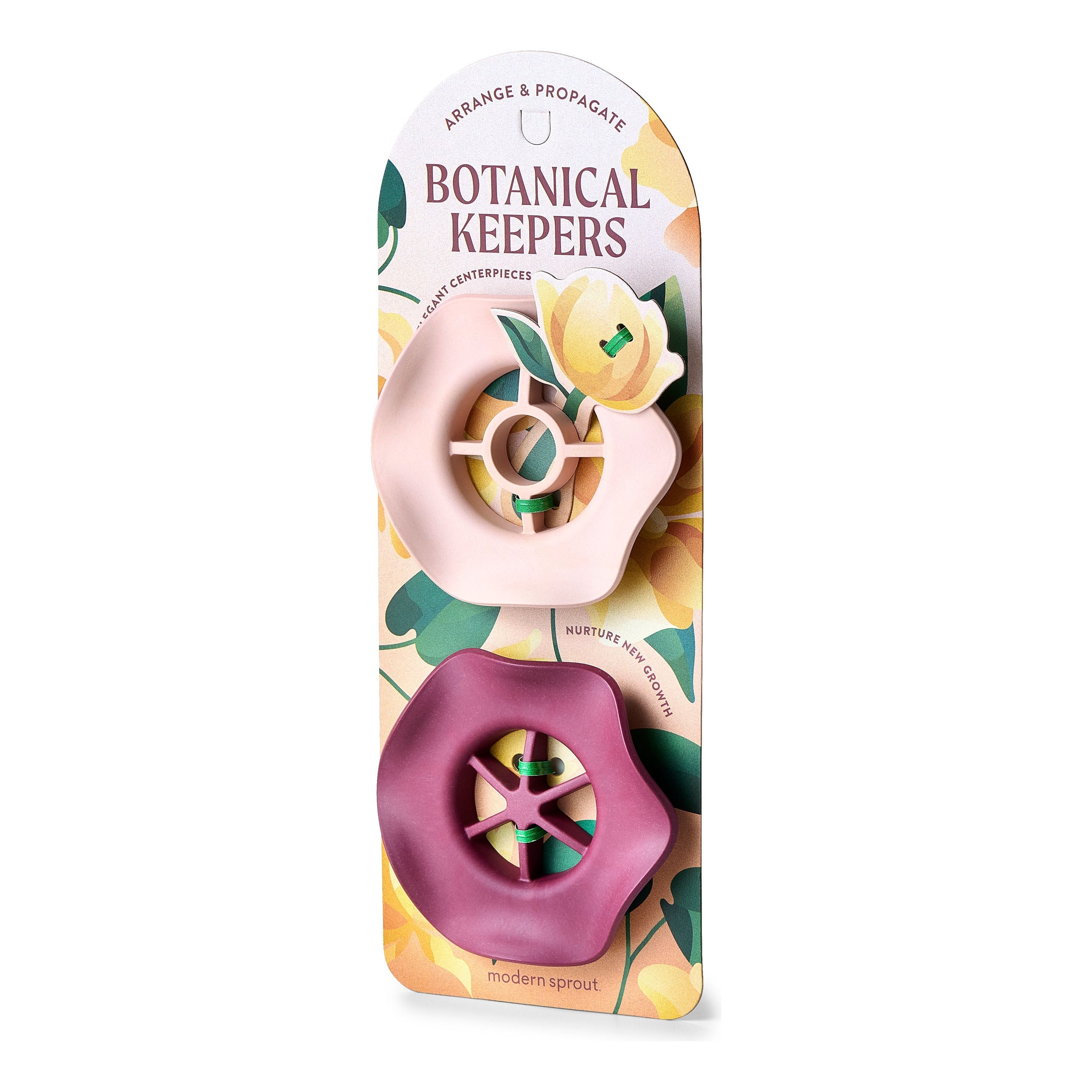 Modern Sprout Botanical Keepers Piatti Talee 2pz